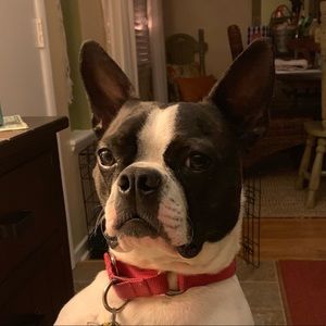 Meet your Posher, Kori